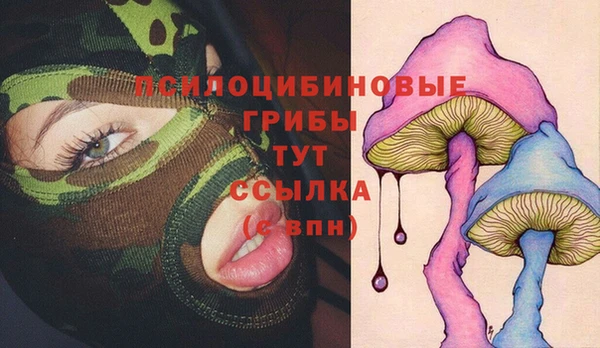 тгк Верхний Тагил