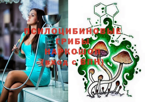 тгк Верхний Тагил