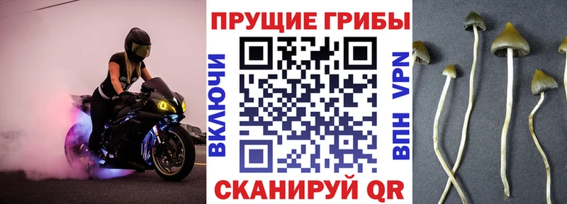 Псилоцибиновые грибы прущие грибы  Купить где  Шенкурск 